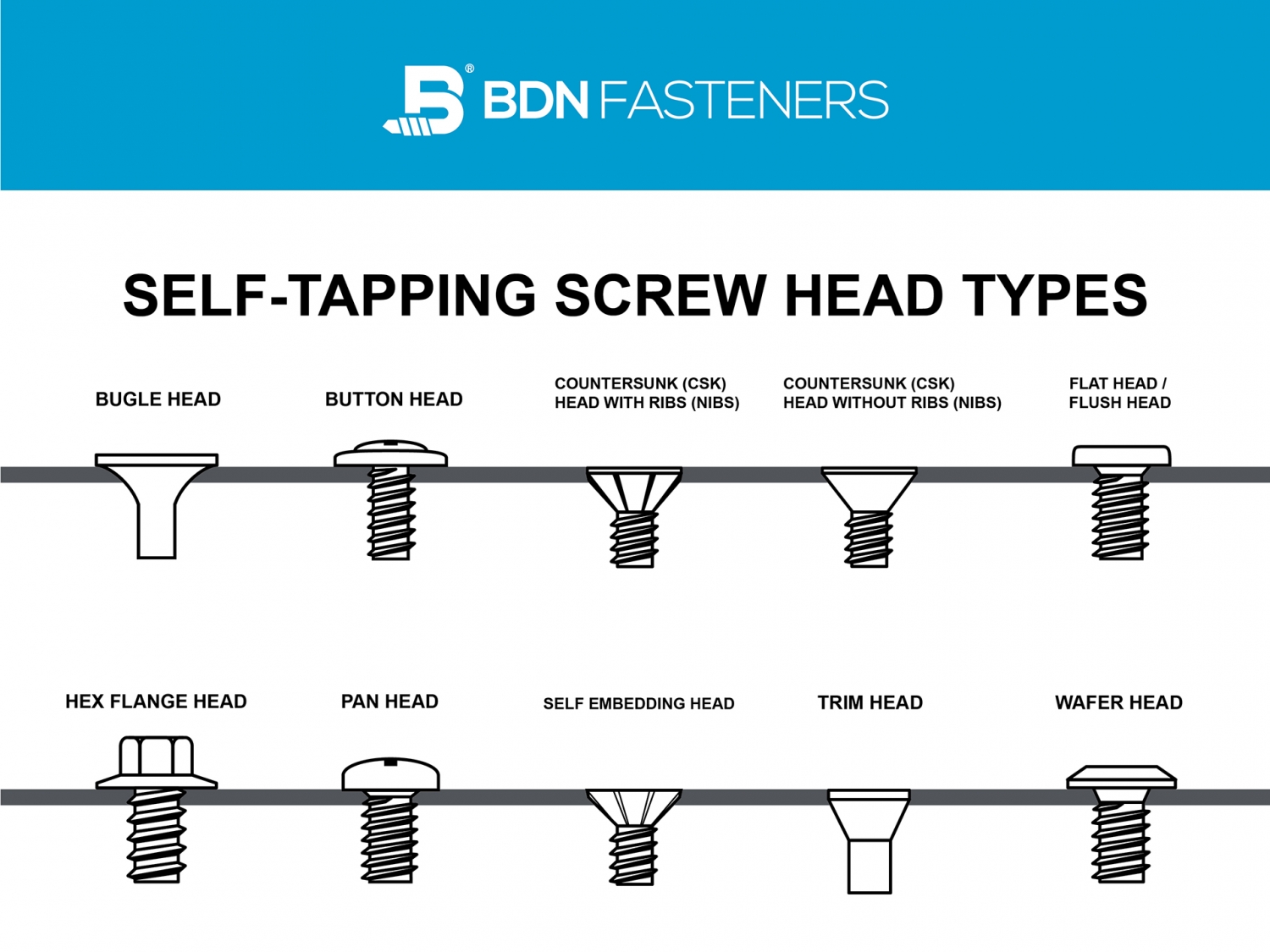 10 Screw Head Types Different SelfTapping Screw Head Types