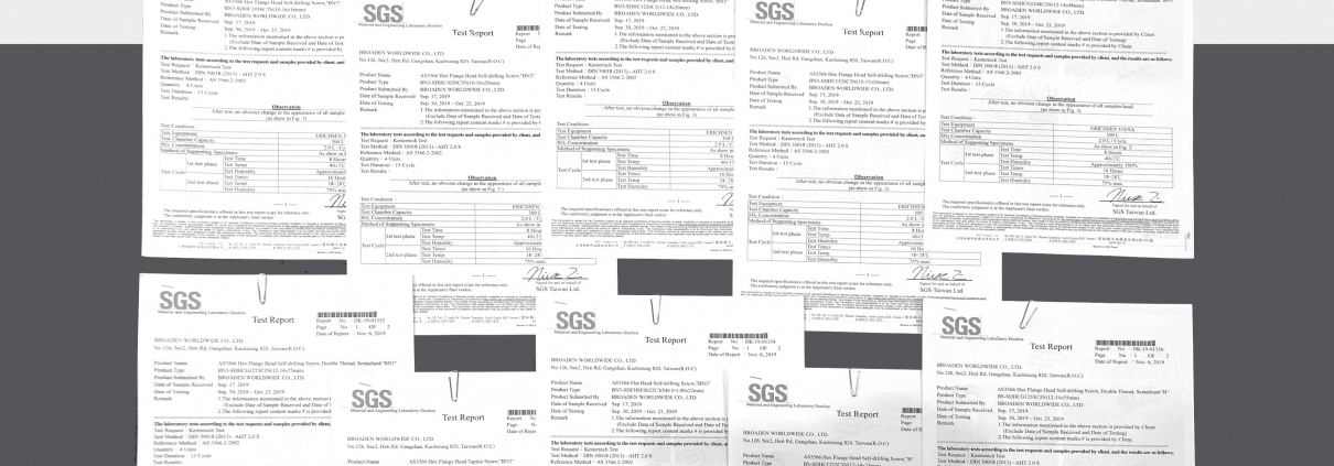 BDN FASTENERS® Roofing Screws SGS Certified