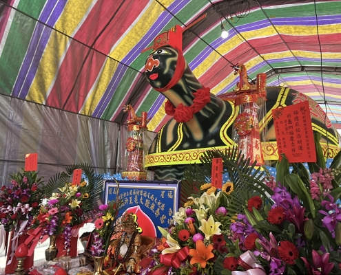 BDN FASTENERS_Taiwan Earth God Festival_Grand Turtle King_29