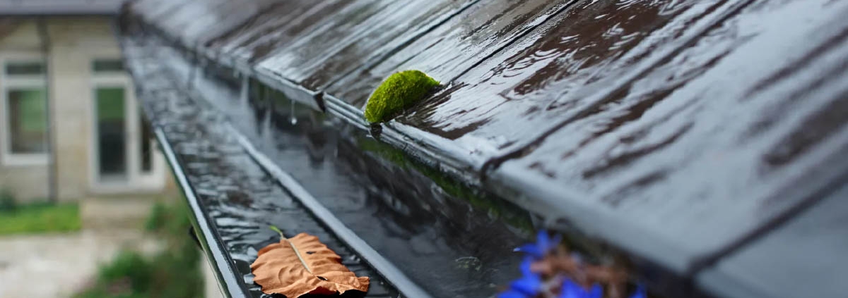 Clogged gutters or weep holes