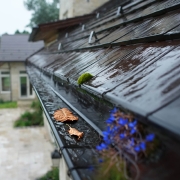 Clogged gutters or weep holes