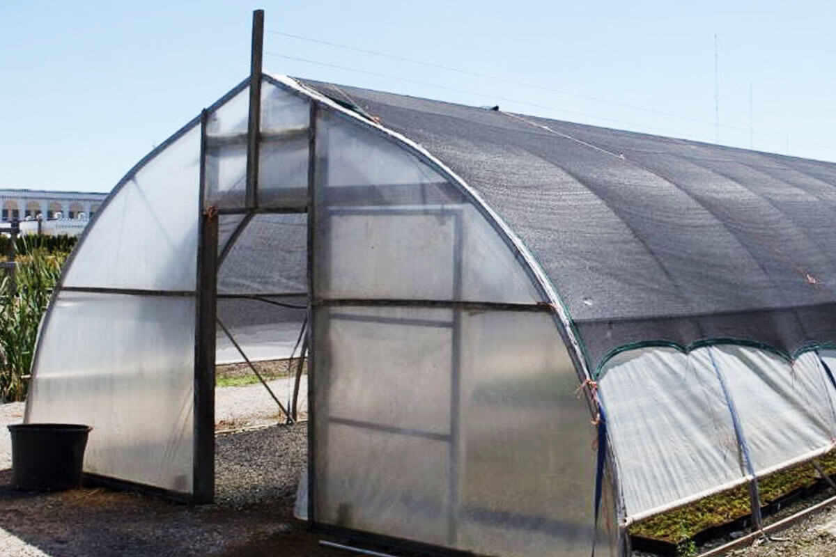 Shade Cloth or Netting