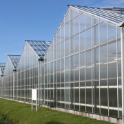 Greenhouse_Polycarbonate Applications