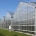 Greenhouse_Polycarbonate Applications