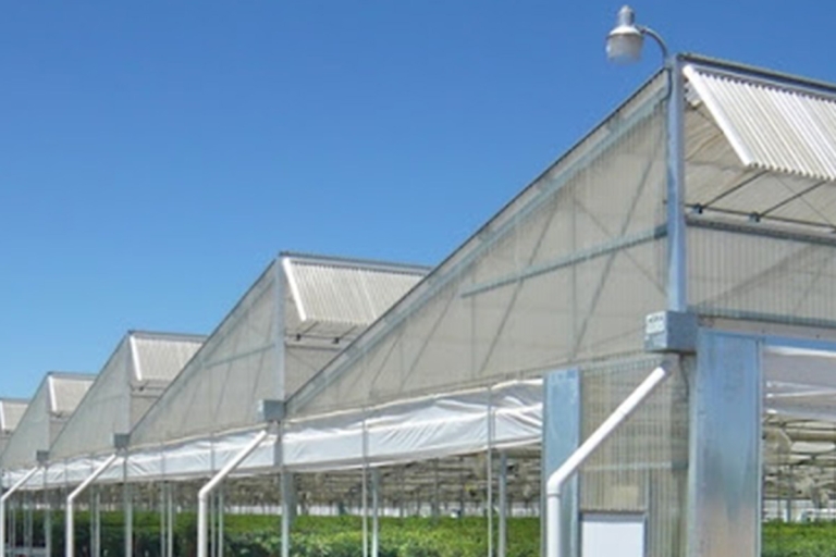 Rooftop Greenhouse - Myrooff.com