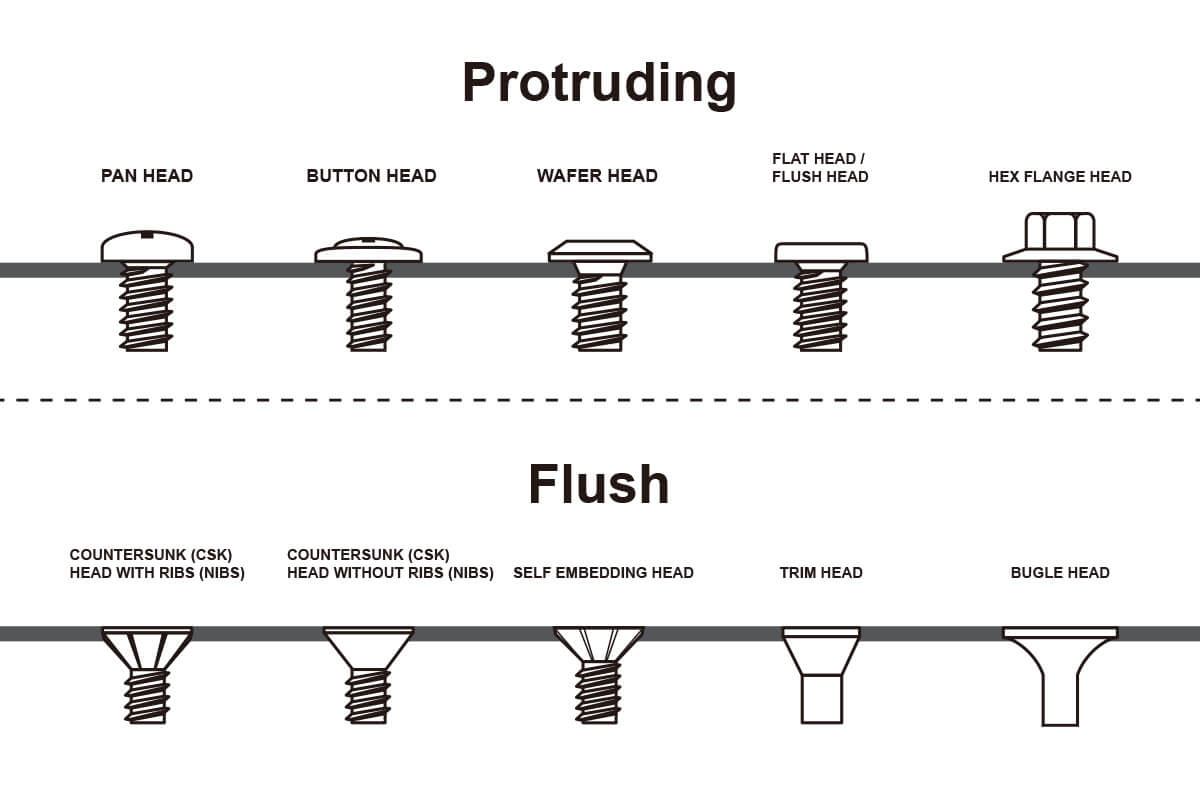 10 Screw Head Types: Different Self-Tapping Screw Head Types | atelier ...